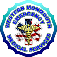  WMEMS Transparent Logo